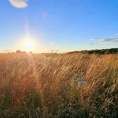 Shell Tatil Evi Reighton